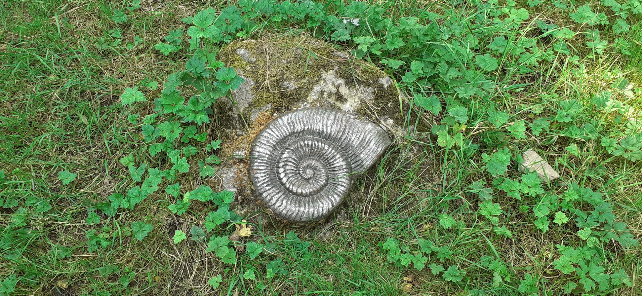 Wrens Nest