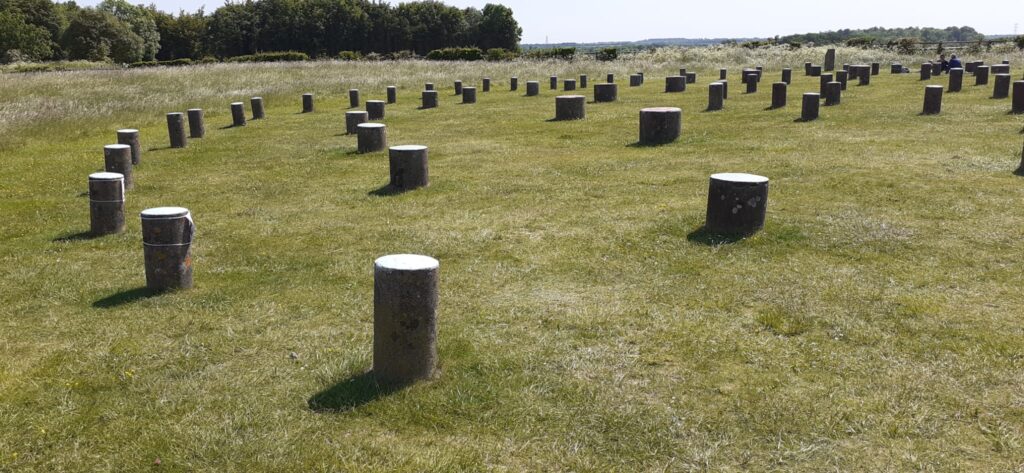 Woodhenge