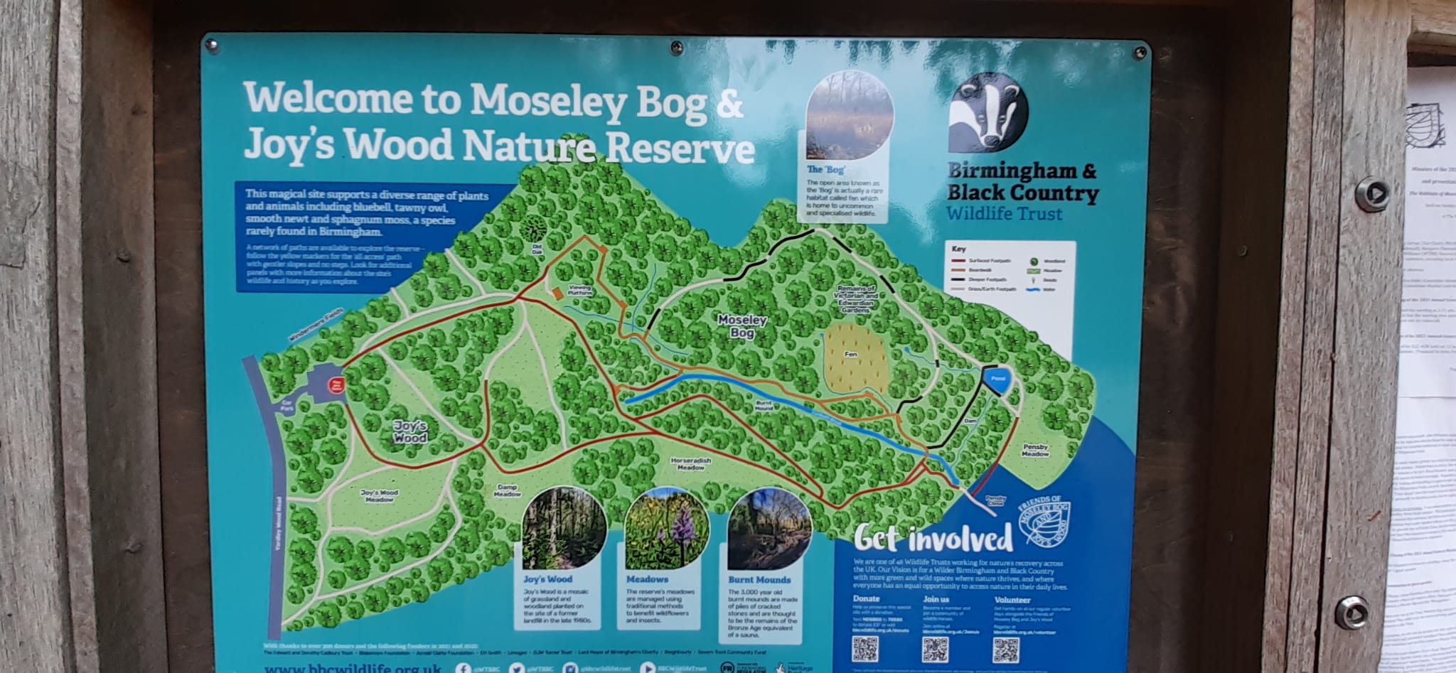 Moseley Bog